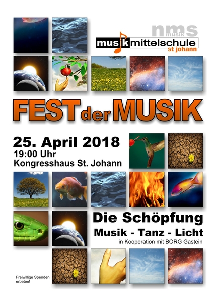 flyer fdm2018